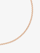 Signature Rose Gold 16" Belcher Chain