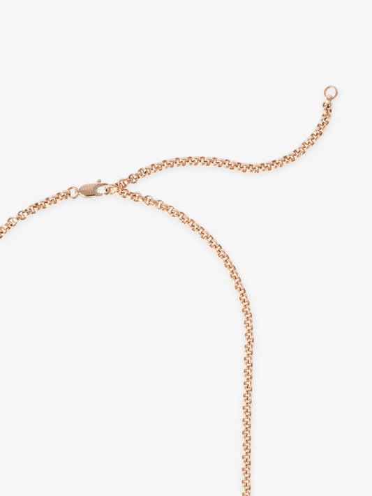 Signature Rose Gold 21" Belcher Chain